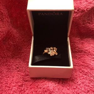 Pandora ring